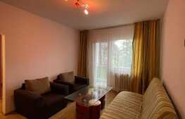 Apartament de 3 camere, 58 mp, pet friendly, zona Fantanele