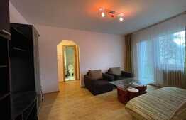 Apartament de 3 camere, 58 mp, pet friendly, zona Fantanele