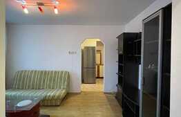 Apartament de 3 camere, 58 mp, pet friendly, zona Fantanele