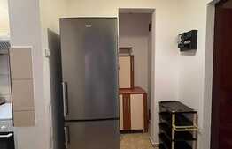 Apartament de 3 camere, 58 mp, pet friendly, zona Fantanele