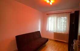 Apartament de 3 camere, 58 mp, pet friendly, zona Fantanele