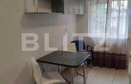 Apartament mobiliat si utilat de 1 camera, zona Alverna,132 mp. 