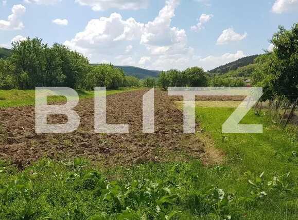 Teren de vânzare Exterior Est - 90785TV | BLITZ Cluj-Napoca | Poza1