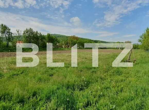 Teren de vânzare Exterior Est - 90785TV | BLITZ Cluj-Napoca | Poza2