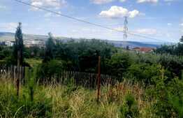 Teren intravilan 9357 mp, 40 ml front, zona Mihai Romanu