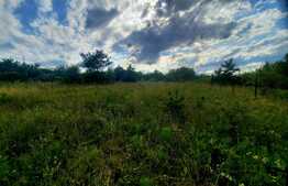 Teren intravilan 9357 mp, 40 ml front, zona Mihai Romanu