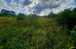 Teren intravilan 9357 mp, 40 ml front, zona Mihai Romanu