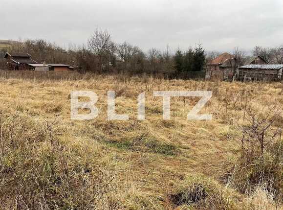 Casa de vânzare 1 camera Sopor - 90830CV | BLITZ Cluj-Napoca | Poza2