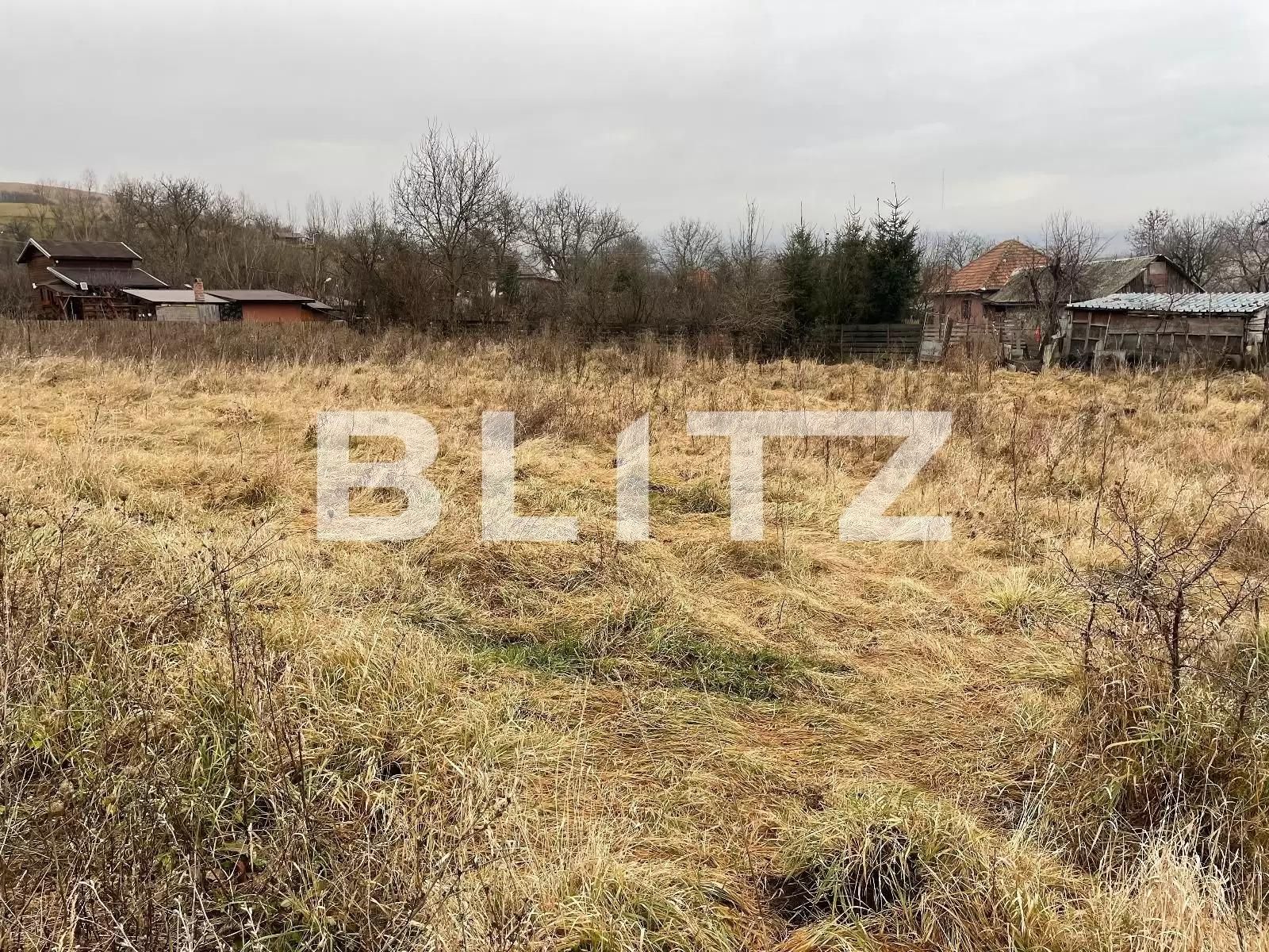 Casa de vânzare 1 camera Sopor - 90830CV | BLITZ Cluj-Napoca | Poza2