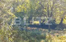 Teren 1506 mp cu casa demolabila, zona Oasului