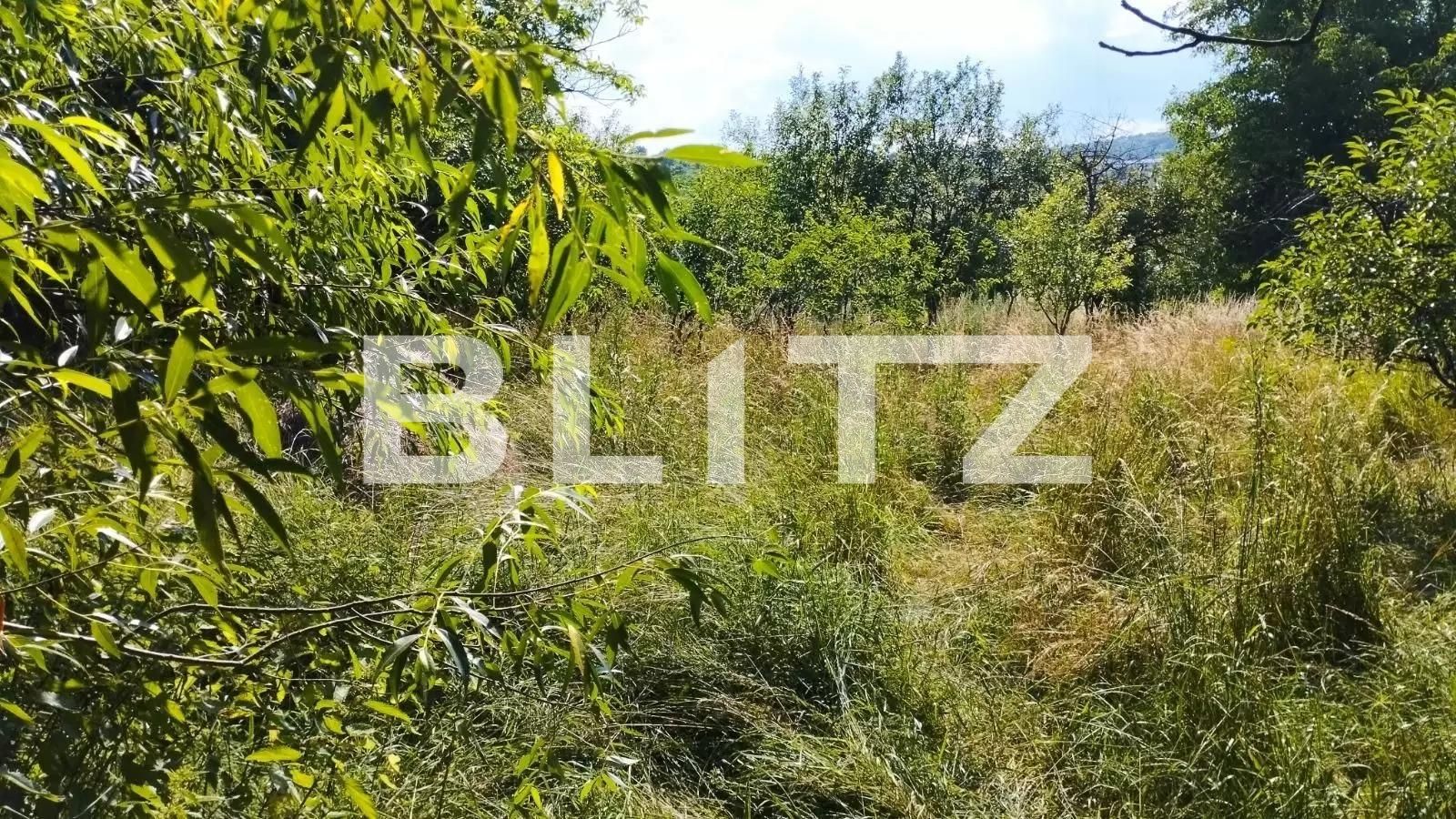 Casa de vânzare 3 camere Iris - 90833CV | BLITZ Cluj-Napoca | Poza2