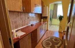 Apartament 2 camere, petfriendly, 68 mp, parcare, zona Porii