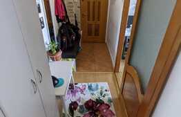 Apartament 2 camere, 50 mp, mobilat/utilat, Intre Lacuri 