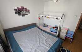 Apartament 2 camere, 50 mp, mobilat/utilat, Intre Lacuri 