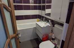 Apartament 2 camere, 50 mp, mobilat/utilat, Intre Lacuri 