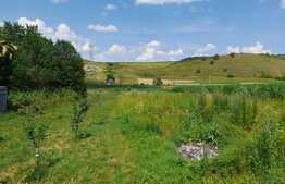 Teren intravilan 5150 mp, cu casa demolabila Corusu