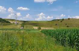 Teren intravilan 5150 mp, cu casa demolabila Corusu