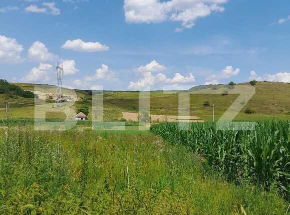 Teren de vânzare Coruşu - 90859TV | BLITZ Cluj-Napoca | Poza4