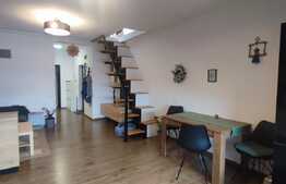 Apartament 53 mp, 2 camere, zona Sub Cetate