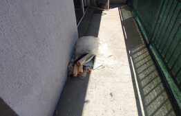 Garsoniera moderna, 32 mp, in zona Eroilor 