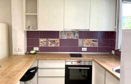 Garsoniera moderna, curte, 30mp, zona Nicolae Titulescu