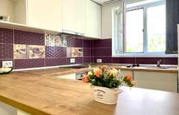 Garsoniera moderna, curte, 30mp, zona Nicolae Titulescu