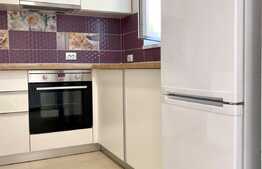 Garsoniera moderna, curte, 30mp, zona Nicolae Titulescu