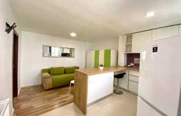 Garsoniera moderna, curte, 30mp, zona Nicolae Titulescu