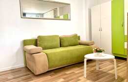 Garsoniera moderna, curte, 30mp, zona Nicolae Titulescu