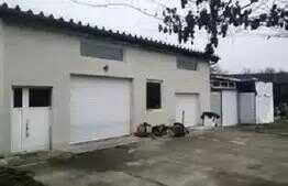  Casa unifamiliala pe un nivel, 100 mp utili, teren 5150 mp, Corusu