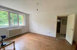 Apartament de 2 camere, 50 mp, balcon, zona Hotel Royal