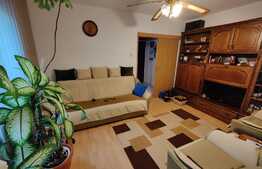 Apartament de 3 camere, 47mp, semidecomandat, zona Parang