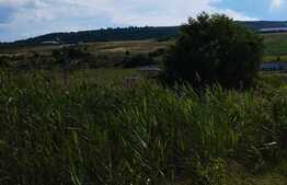 Teren 2011 mp, cu autorizatie de constructie, Oasului