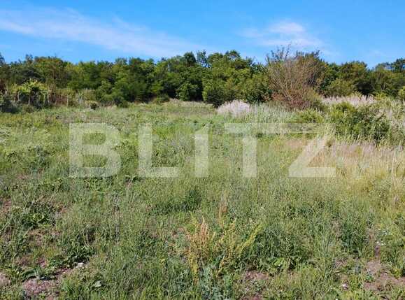 Teren de vânzare Iris - 90933TV | BLITZ Cluj-Napoca | Poza5