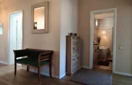 Penthouse de 130 mp, terasa, modern, Andrei Muresanu