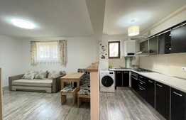 Apartament 2 camere, 45 mp, parcare, zona strazii Mircea Eliade