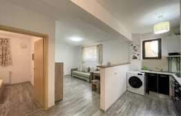 Apartament 2 camere, 45 mp, parcare, zona strazii Mircea Eliade