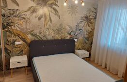 Apartament 2 camere, 43 mp, etaj intermediar, zona VIVO