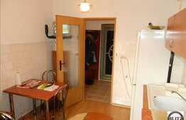 50 mp, 2 camere decomandate, zona strazii Dunarii. Garaj, loc de parcare si boxa