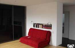 Apartament cu dotari lux in Buna Ziua!