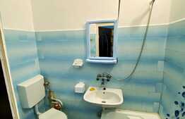 Garsoniera mobilata si utilata 21 mp, in zona Calea Floresti