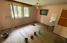 Garsoniera la casa, 40mp, teren 250mp, Zona Centru Civic 