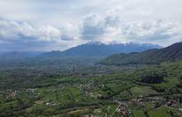 Teren 1000mp+, zona Bran Tohanita