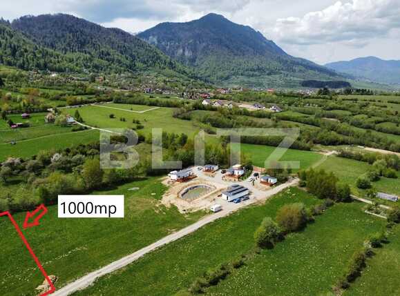 Teren de vânzare Bran - 91209TV | BLITZ Brașov | Poza1