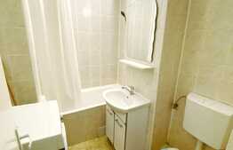 Garsoniera 32 mp, posibilitate preluare chiriasi, zona Bld. Muncii 