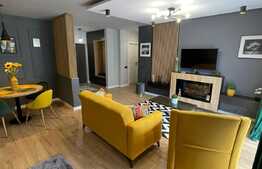 Apartament de lux, 2 camere, terasa, zona Teilor