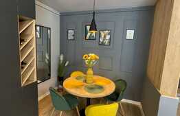 Apartament de lux, 2 camere, terasa, zona Teilor