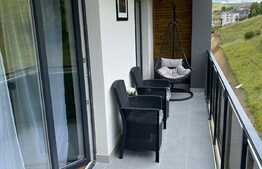 Apartament de lux, 2 camere, terasa, zona Teilor