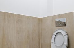 Pret promotional,  3 camere , 2 bai, finisat modern, 72mp cu gradina de 80mp 