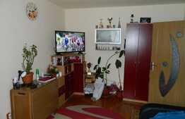 De vanzare apartament 3 camere, 46,22 mp, zona Minerva